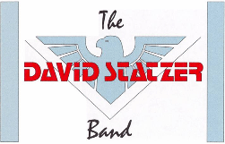 The David Statzer Band