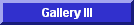GALLERY lll